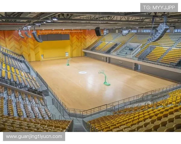 七星体育打造专业体育场馆网络，提升城市体育公共服务水平