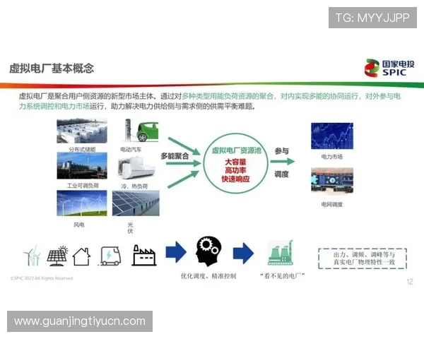 三亿电子在虚拟资产管理中的创新技术与行业标准制定的最新动态 三亿电子在虚拟资产管理中的创新技术与行业标准制定的最新动态