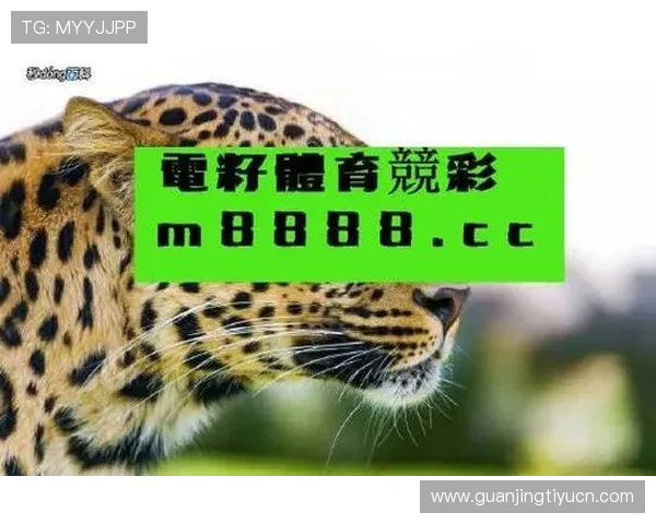 火博体育网页全面升级引领线上体育娱乐新体验 火博体育网页全面升级引领线上体育娱乐新体验