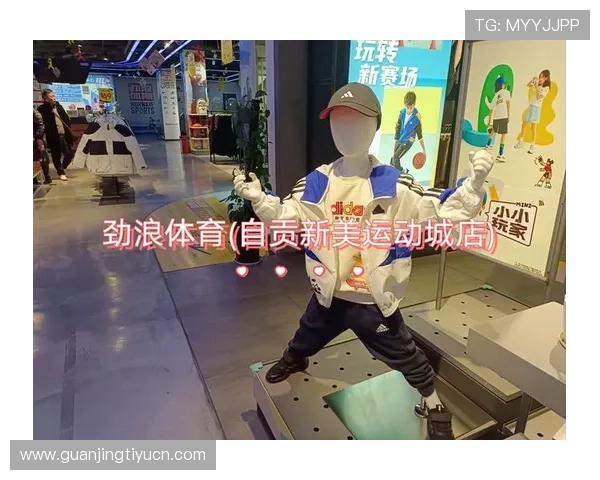 劲浪体育用户体验分享：真实用户的运动装备使用感受与评价