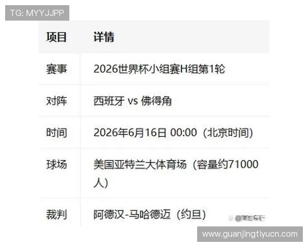 专业专家解读世界杯西班牙佛得角比赛的战术策略与比赛走势预测